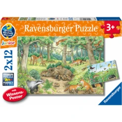 Ravensburger Waarom? Waarom? Waarom? Dieren In Het Bos En Op De Weide -Kinderspeelgoed Winkel ravensburger waarom waarom waarom dieren in het bos en op de weide a402924 4