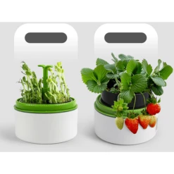 Science Can Plantengroei... Station -Kinderspeelgoed Winkel science can plantengroei station a331161 3