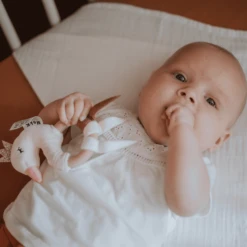 Tryco Pluche Speen Met Rammelaar - Swan Ivy -Kinderspeelgoed Winkel tryco pluche speen met rammelaar swan ivy a394204 4